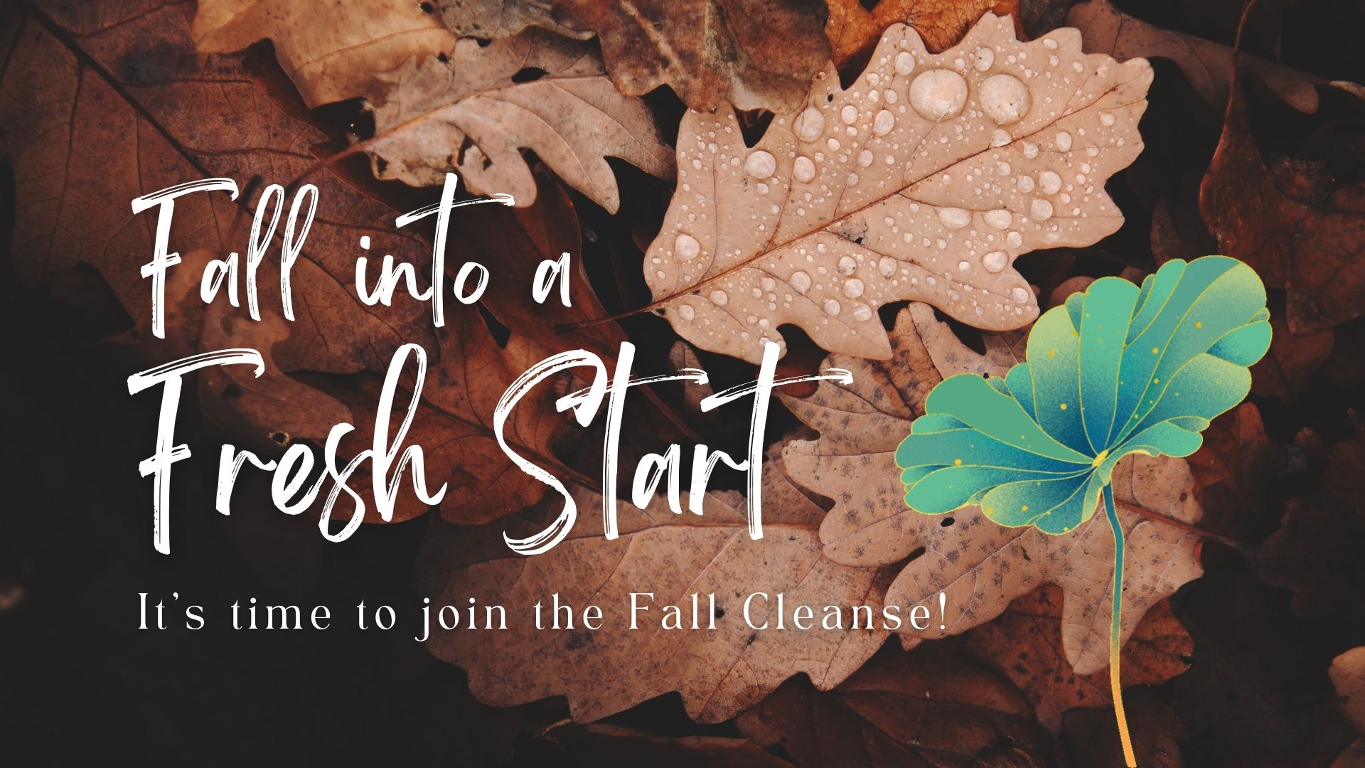 Fall Cleanse Category Banner 2